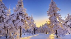 Winter Wonderland
